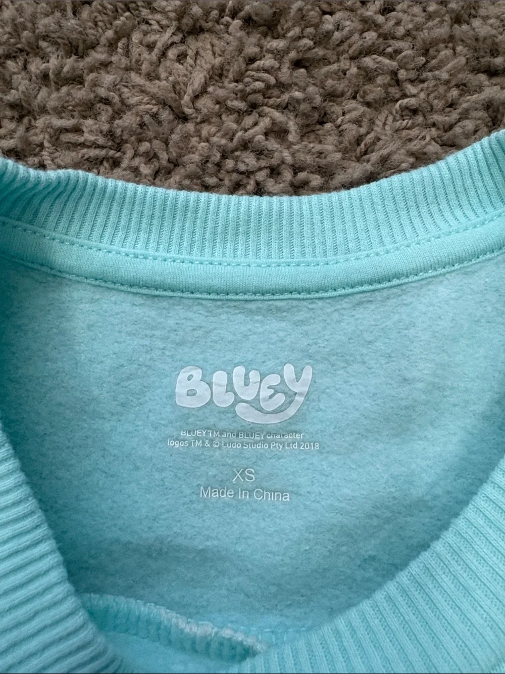 Disney Aqua & Cream Bluey Colorblock Kids Sweatshirt